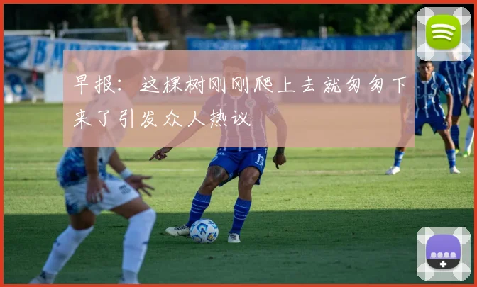 早报：这棵树刚刚爬上去就匆匆下来了引发众人热议